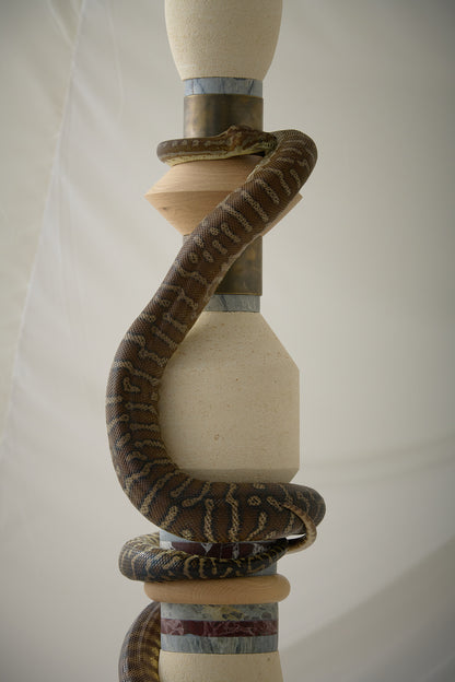 1.5 SNAKES